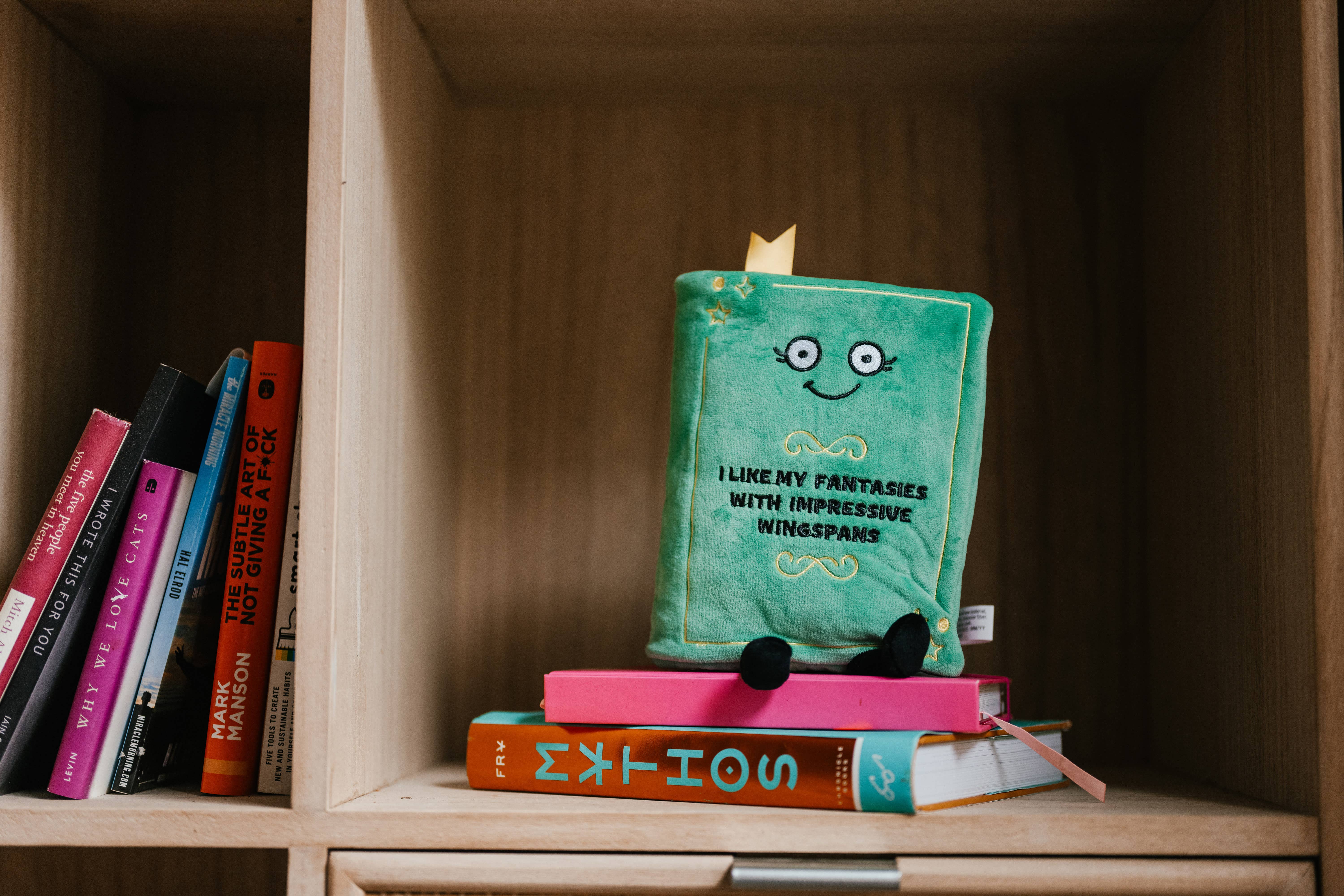 Plush Book Fantasies, photo 2 of 2