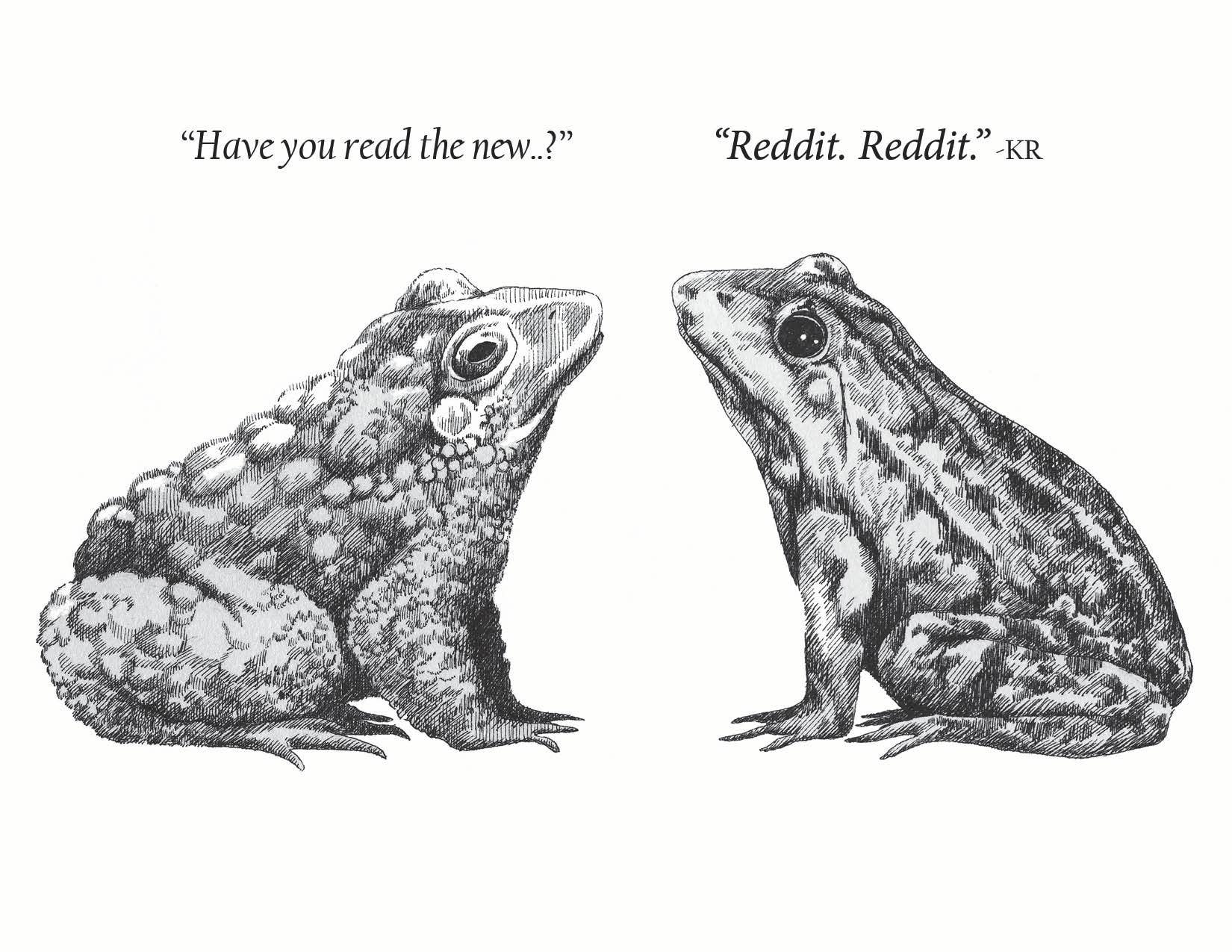 Books & Beasts Frogs Book Fun Notecard, photo 1 of 3